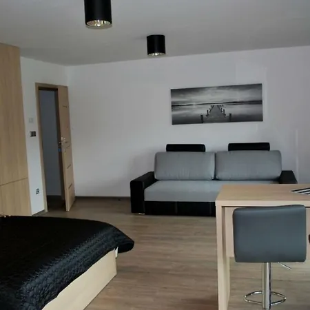 Willa Zacisze - Ostrowo - Komfortowe Apartamenty I Pokoje W Cichej Okolicy - Oaza Spokoju Exterior photo